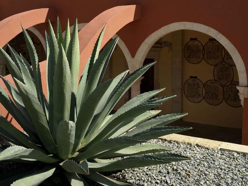 Ibis Aguascalientes Norte Exterior foto